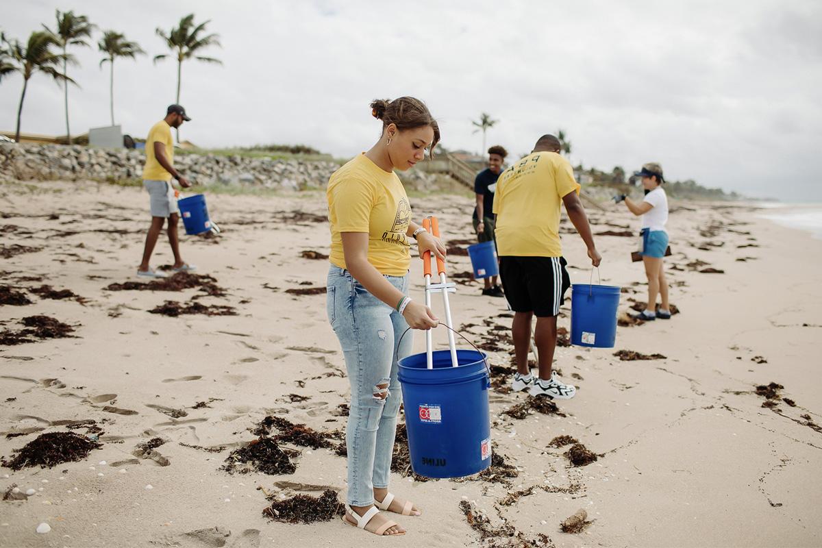 students studying 植物学 Environmental Science and Field Biology by collecting trash on the beach